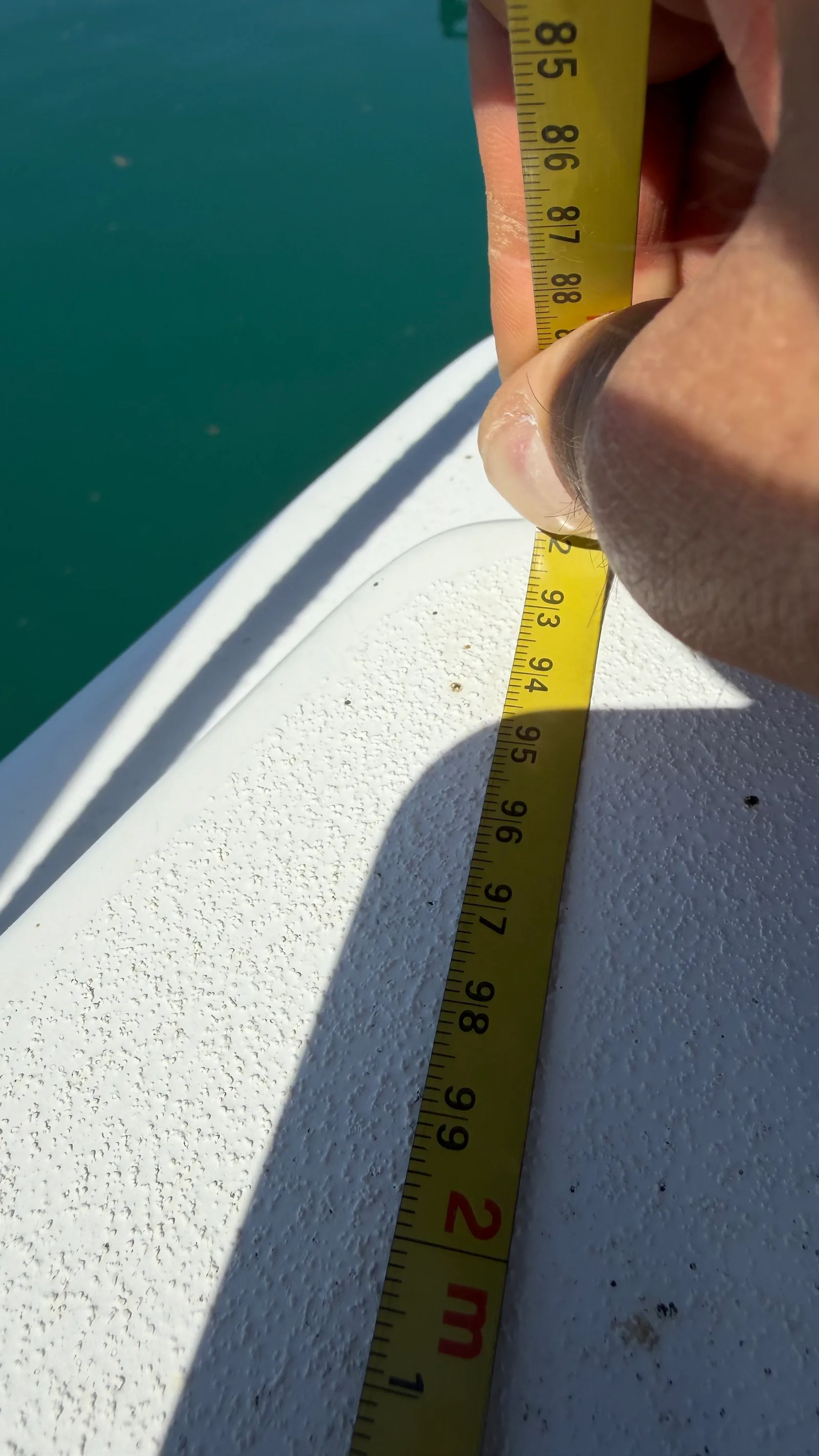 Measuring rake with the jib halyard: halyard run down the forestay, mark taken, then tape read at the deck fitting on JAMAIS